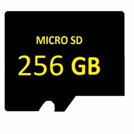 SD MICRO HS-TF-L2/256GB Surveillance entry level